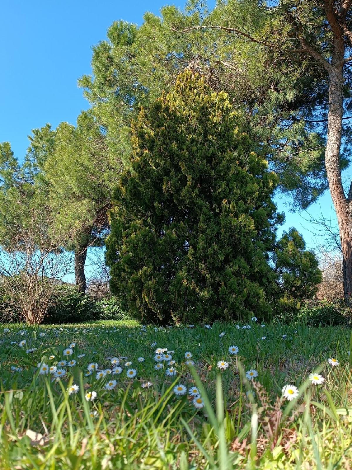 Santa Maria della Versa Capricornio Club Diffuso Casa Carlotta 빌라 외부 사진